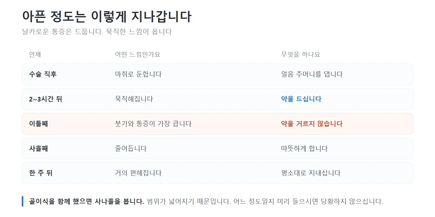 임플란트 수술 뒤 아픈 정도가 시간에 따라 어떻게 변하는지 표로 정리한 그림. 수술 직후, 2~3시간 뒤, 이틀째, 사흘째, 한 주 뒤로 나누어 어떤 느낌이고 무엇을 하는지 적고 이틀째를 붉게 표시한 모습 — 리셋치과의원
